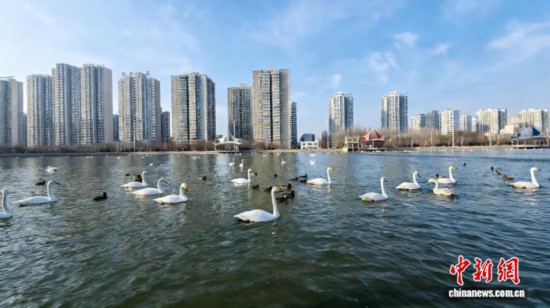 �����Խ�������Գ��½����������¾���